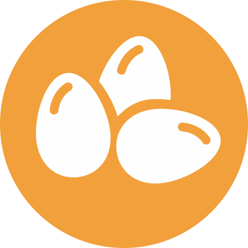 Huevos