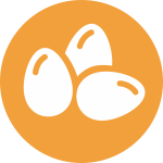 Huevos Huevos
