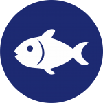 Pescados